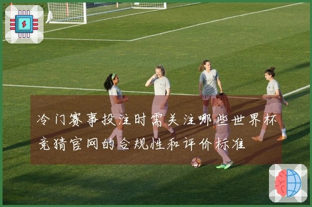 冷门赛事投注时需关注哪些世界杯竞猜官网的合规性和评价标准