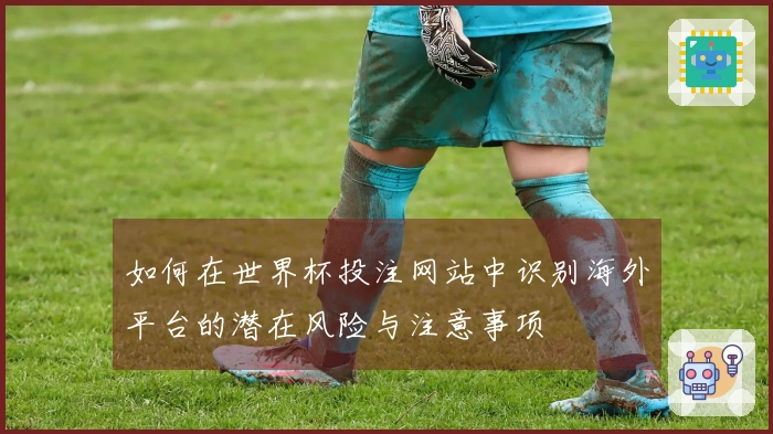 如何在世界杯投注网站中识别海外平台的潜在风险与注意事项