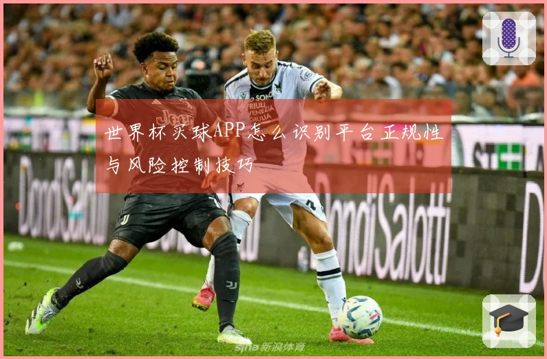 世界杯买球APP怎么识别平台正规性与风险控制技巧