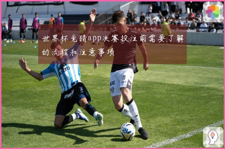 世界杯竞猜app决赛投注前需要了解的流程和注意事项