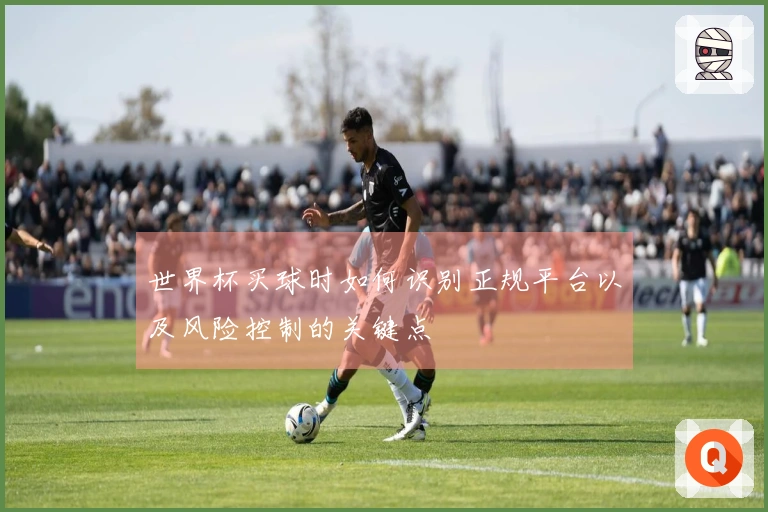 世界杯买球时如何识别正规平台以及风险控制的关键点