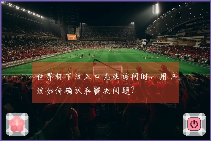 世界杯下注入口无法访问时，用户该如何确认和解决问题？