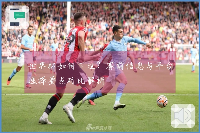 世界杯如何下注？赛前信息与平台选择要点对比解析