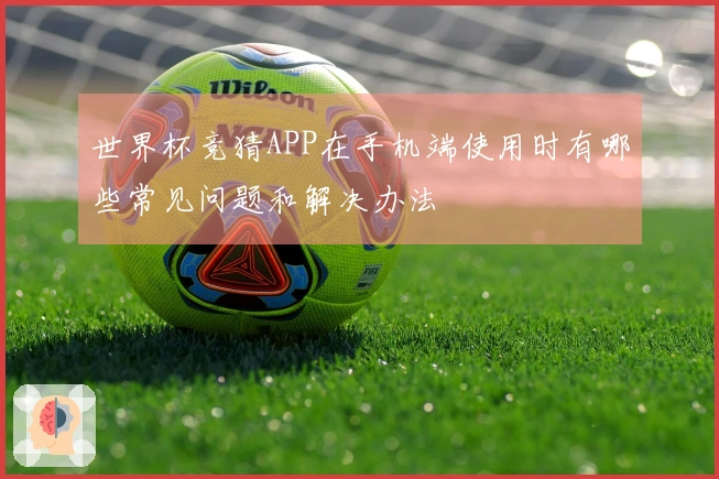 世界杯竞猜APP在手机端使用时有哪些常见问题和解决办法