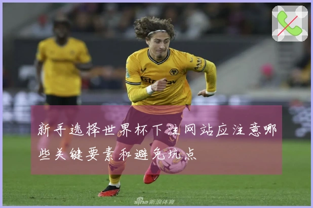 新手选择世界杯下注网站应注意哪些关键要素和避免坑点
