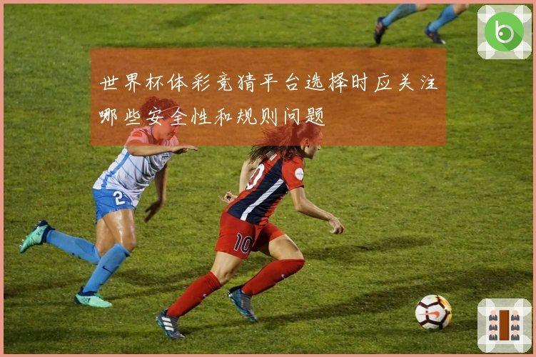 世界杯体彩竞猜平台选择时应关注哪些安全性和规则问题