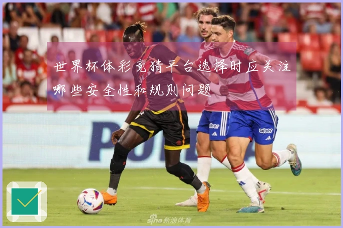 世界杯体彩竞猜平台选择时应关注哪些安全性和规则问题