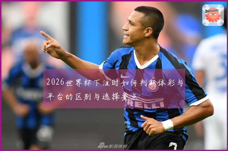 2026世界杯下注时如何判断体彩与平台的区别与选择要点