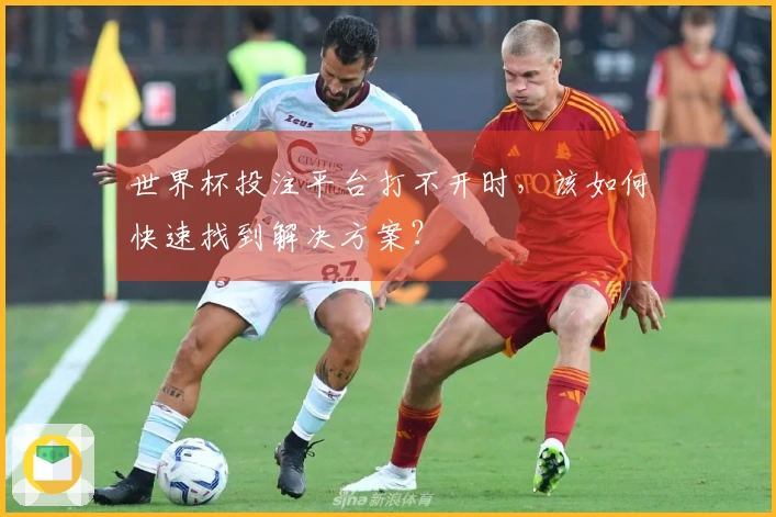 世界杯投注平台打不开时，该如何快速找到解决方案？