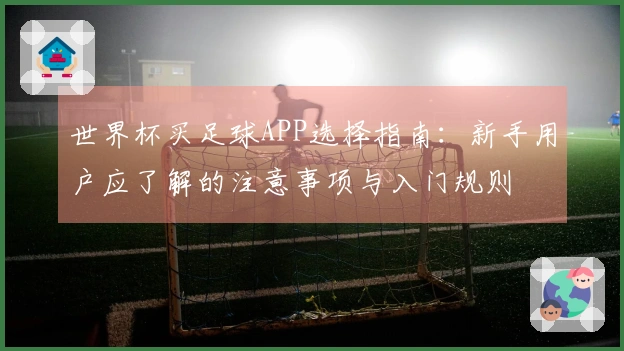 世界杯买足球APP选择指南：新手用户应了解的注意事项与入门规则