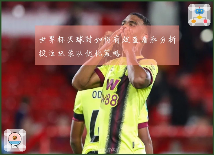 世界杯买球时如何有效查看和分析投注记录以优化策略