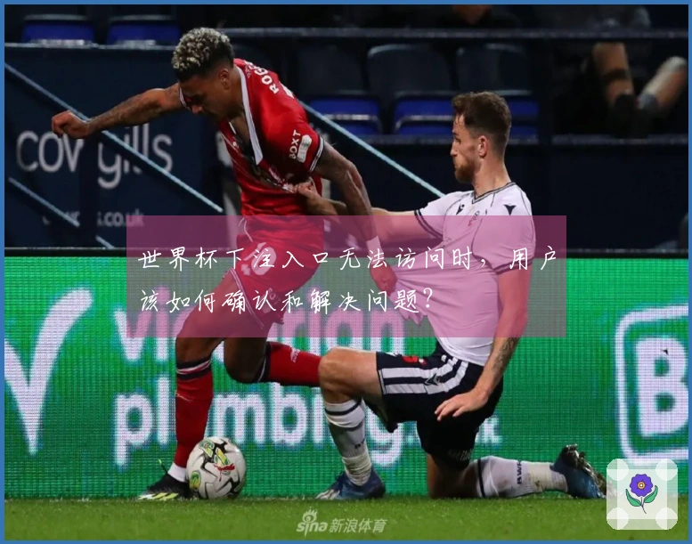 世界杯下注入口无法访问时，用户该如何确认和解决问题？