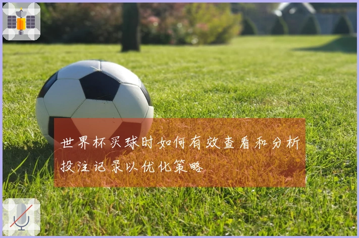 世界杯买球时如何有效查看和分析投注记录以优化策略