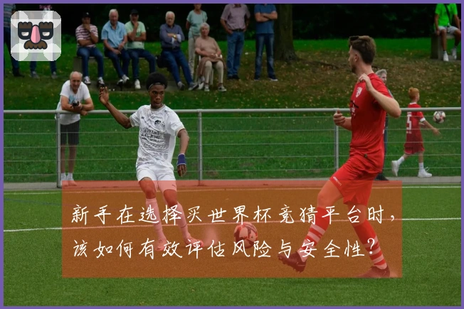 新手在选择买世界杯竞猜平台时，该如何有效评估风险与安全性？