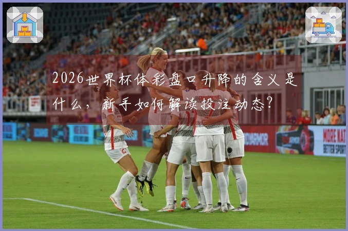 2026世界杯体彩盘口升降的含义是什么，新手如何解读投注动态？