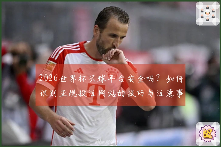 2026世界杯买球平台安全吗？如何识别正规投注网站的技巧与注意事项
