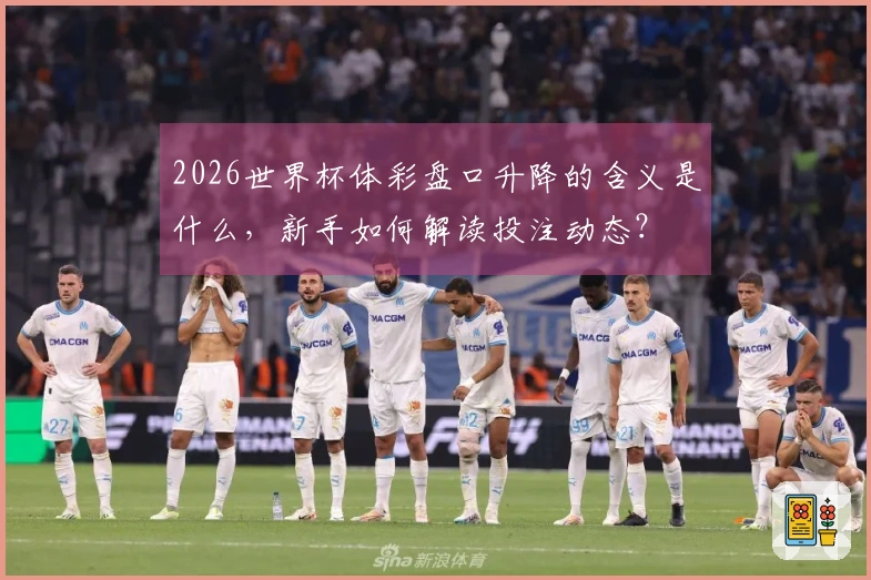 2026世界杯体彩盘口升降的含义是什么，新手如何解读投注动态？