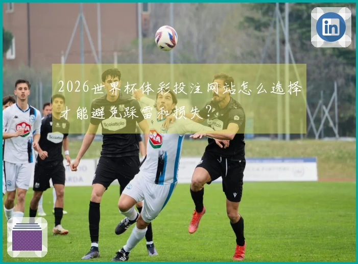 2026世界杯体彩投注网站怎么选择才能避免踩雷和损失？