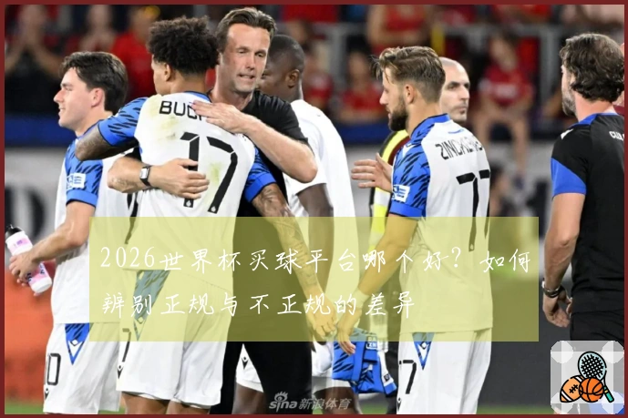 2026世界杯买球平台哪个好？如何辨别正规与不正规的差异