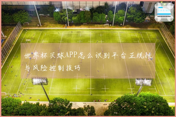 世界杯买球APP怎么识别平台正规性与风险控制技巧