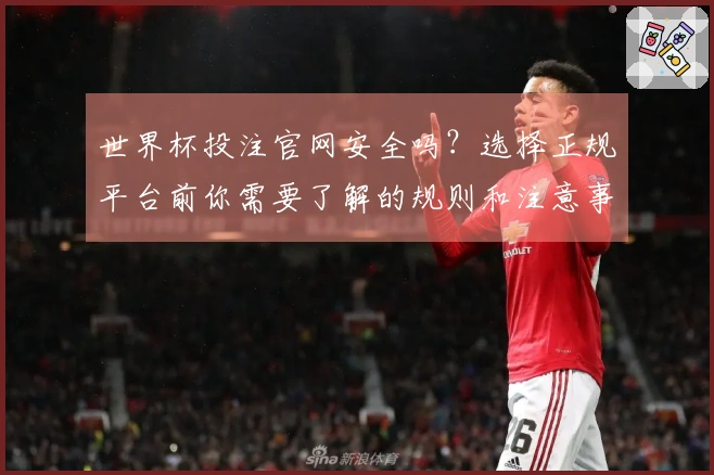 世界杯投注官网安全吗？选择正规平台前你需要了解的规则和注意事项