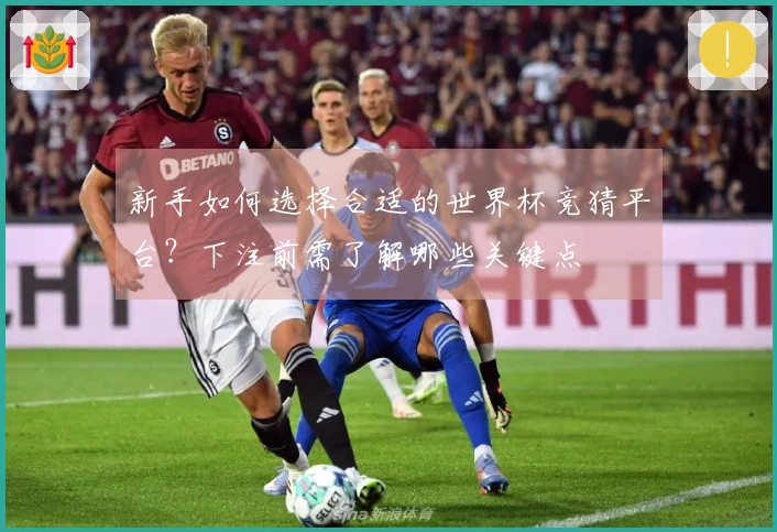 新手如何选择合适的世界杯竞猜平台？下注前需了解哪些关键点