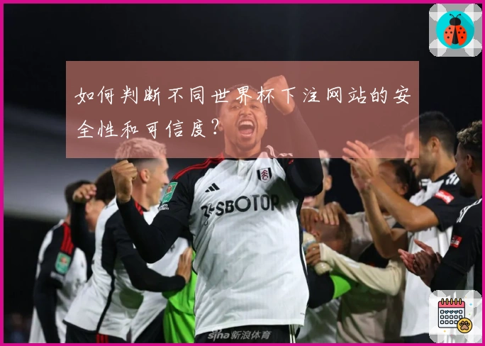 如何判断不同世界杯下注网站的安全性和可信度？