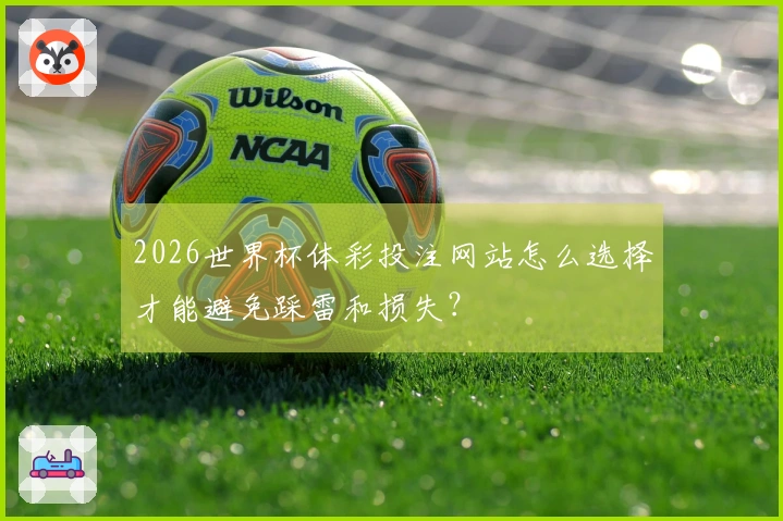 2026世界杯体彩投注网站怎么选择才能避免踩雷和损失？