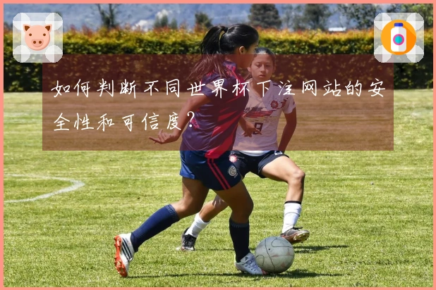 如何判断不同世界杯下注网站的安全性和可信度？