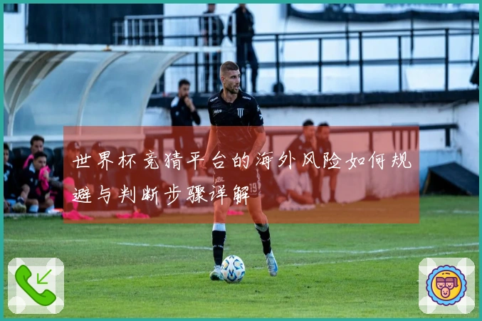 世界杯竞猜平台的海外风险如何规避与判断步骤详解