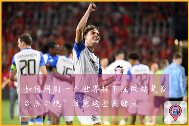 如何辨别一个世界杯下注网站是否合法合规？注意这些关键点