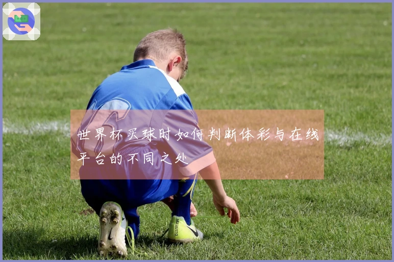 世界杯买球时如何判断体彩与在线平台的不同之处