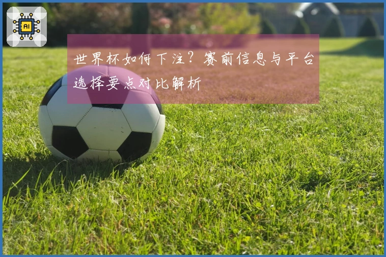 世界杯如何下注？赛前信息与平台选择要点对比解析
