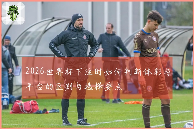 2026世界杯下注时如何判断体彩与平台的区别与选择要点