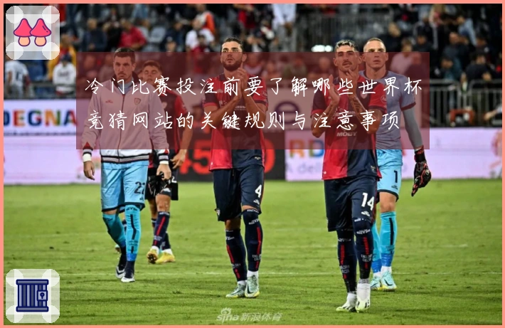 冷门比赛投注前要了解哪些世界杯竞猜网站的关键规则与注意事项