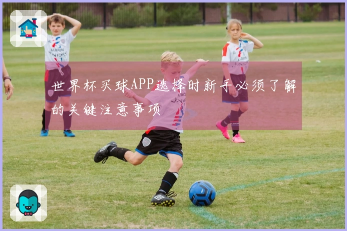 世界杯买球APP选择时新手必须了解的关键注意事项