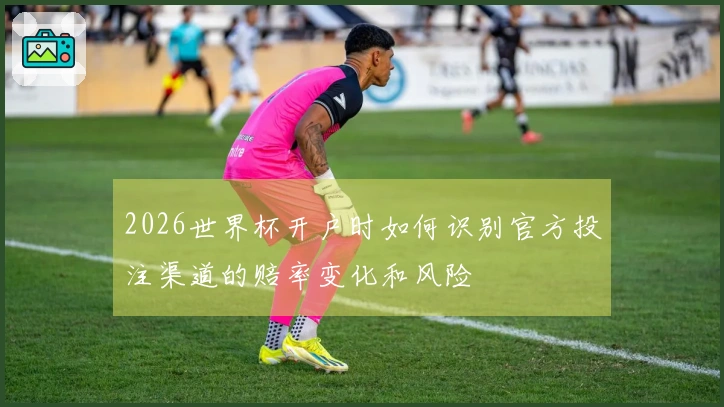 2026世界杯开户时如何识别官方投注渠道的赔率变化和风险