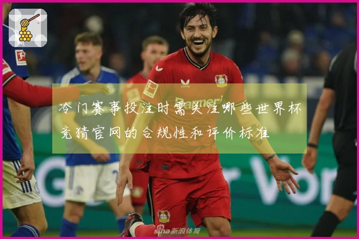 冷门赛事投注时需关注哪些世界杯竞猜官网的合规性和评价标准